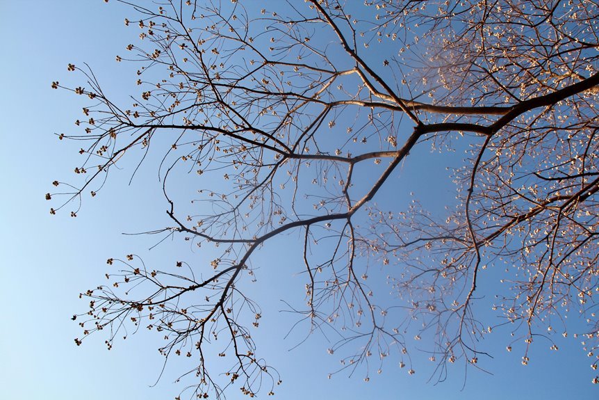 corporate growth intelligence framework